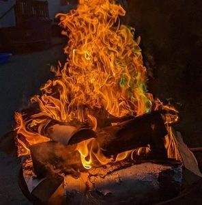 Meet your Posher, Monica